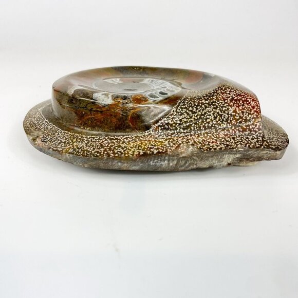 Polished Ammonite Fossil Brown Paperweight In Matrix 5.5" - Picture 3 of 6
